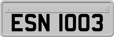 ESN1003