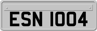 ESN1004