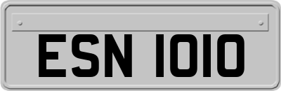 ESN1010