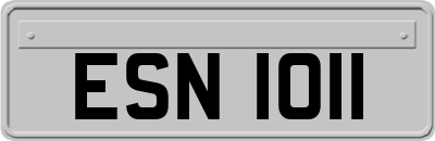 ESN1011