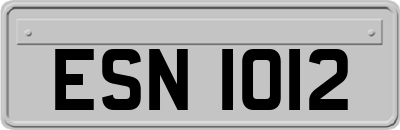ESN1012