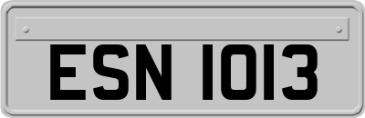 ESN1013