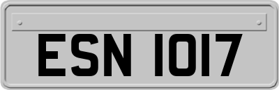 ESN1017
