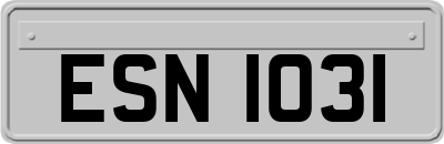 ESN1031