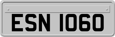 ESN1060