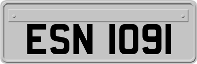 ESN1091