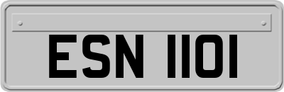 ESN1101