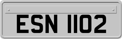 ESN1102