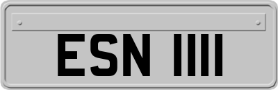 ESN1111