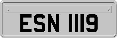 ESN1119