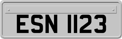 ESN1123