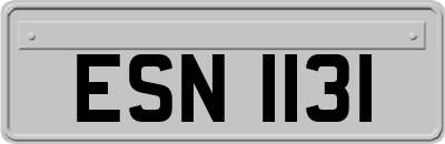 ESN1131