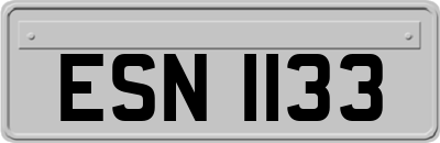 ESN1133