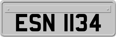 ESN1134