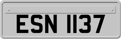 ESN1137