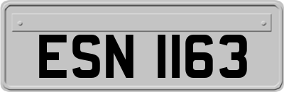 ESN1163
