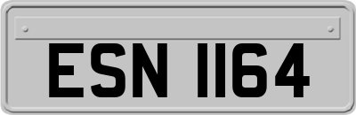 ESN1164
