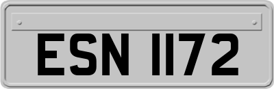 ESN1172