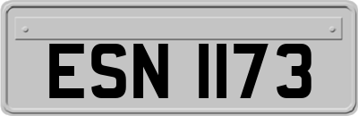 ESN1173