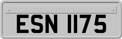 ESN1175
