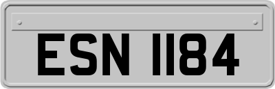 ESN1184