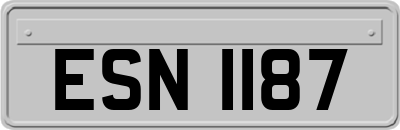 ESN1187