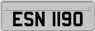 ESN1190