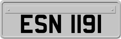 ESN1191