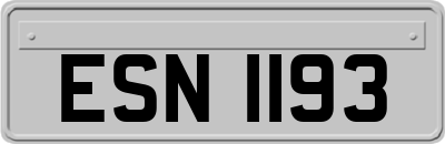 ESN1193