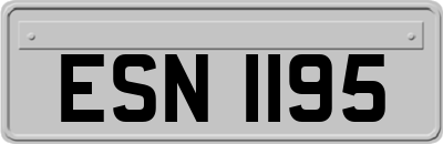 ESN1195