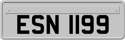 ESN1199