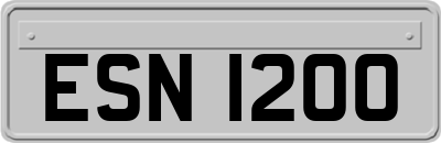 ESN1200