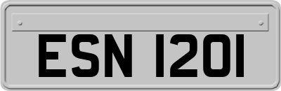 ESN1201