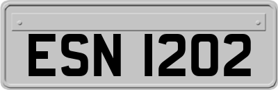 ESN1202