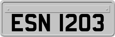 ESN1203