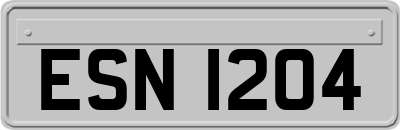 ESN1204