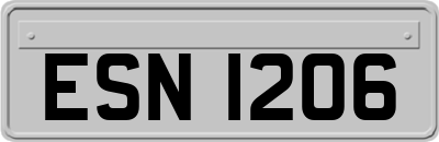ESN1206