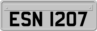 ESN1207
