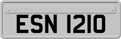 ESN1210