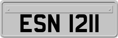 ESN1211