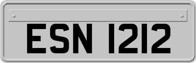 ESN1212