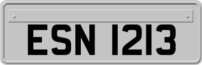 ESN1213