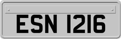 ESN1216