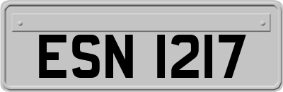 ESN1217