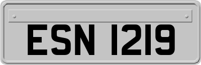 ESN1219