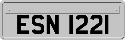 ESN1221