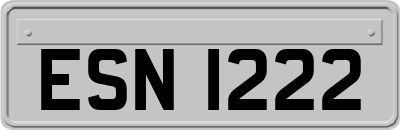 ESN1222