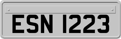 ESN1223