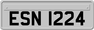 ESN1224