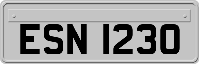 ESN1230